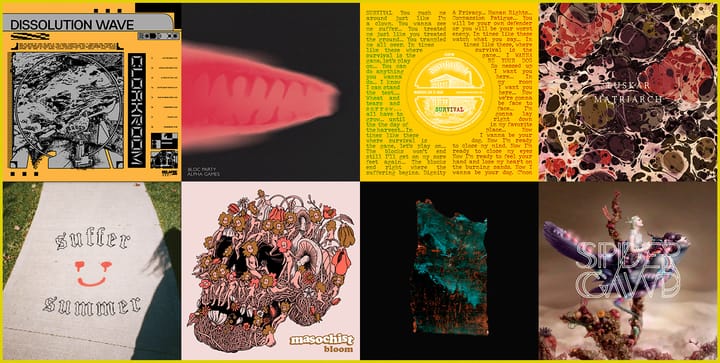 Weekly Roundup: December 6th