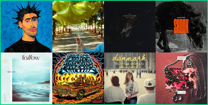 Weekly Roundup: December 19th