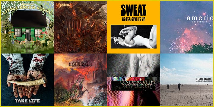 Weekly Roundup: December 20th