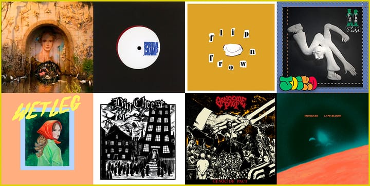 Weekly Roundup: October 11th